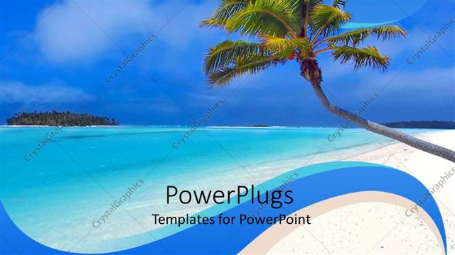  Presentation with palm tree - Day light view of a leaning coconut tree on a beach