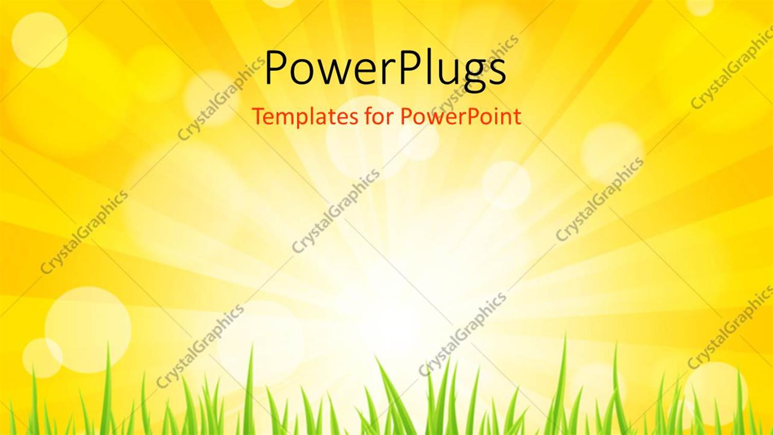 Premium Template for PowerPoint & Google Slides 