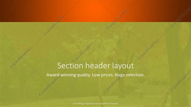 Section Header presentation slide layout