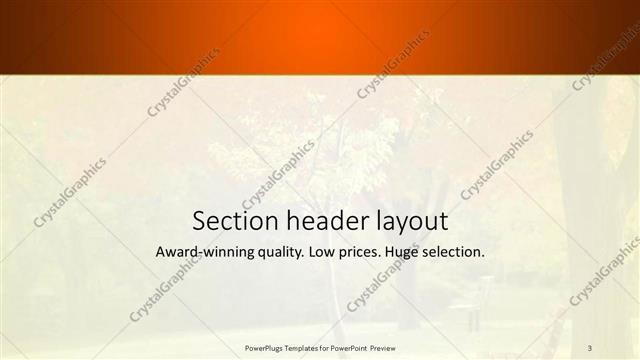 Section Header presentation slide layout