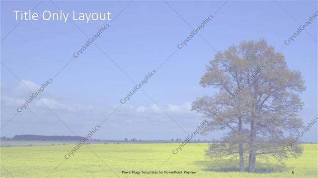 Title Only presentation slide layout