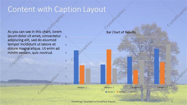 Content with Caption presentation slide layout