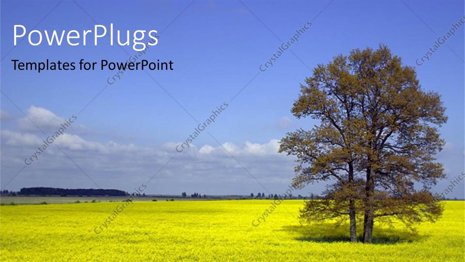 Premium Template for PowerPoint & Google Slides 