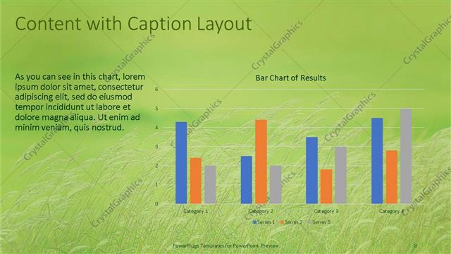 Content with Caption presentation slide layout