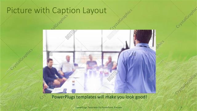 Picture with Caption presentation slide layout