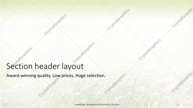 Section Header presentation slide layout