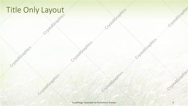 Title Only presentation slide layout