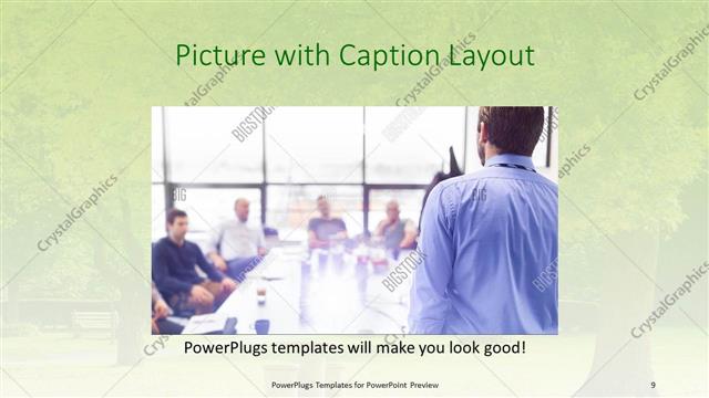 Picture with Caption presentation slide layout