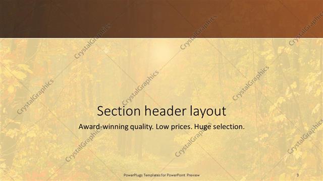 Section Header presentation slide layout