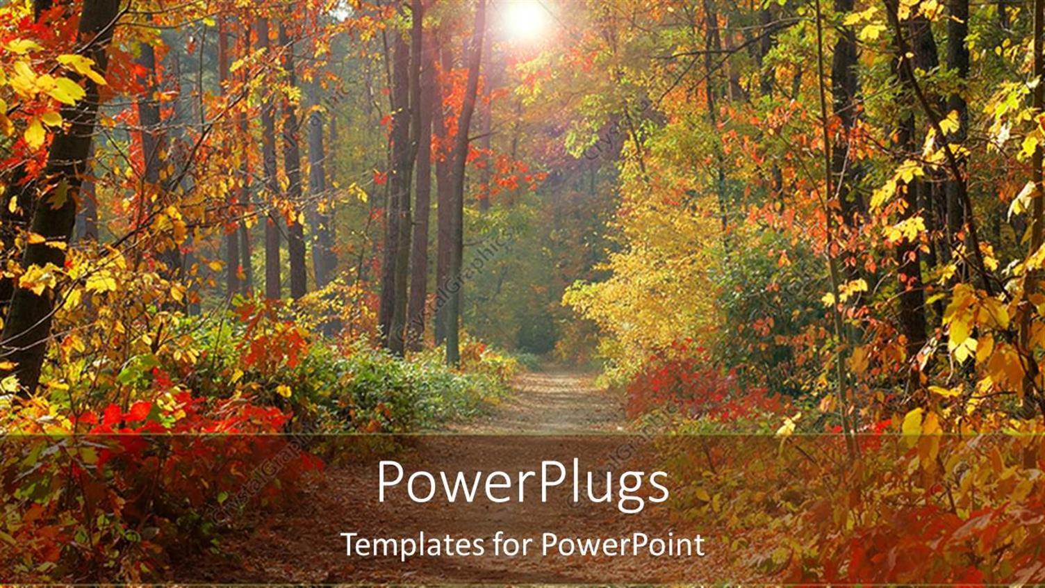 Premium Template for PowerPoint & Google Slides 