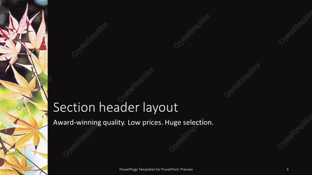 Section Header presentation slide layout