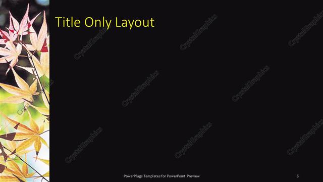 Title Only presentation slide layout