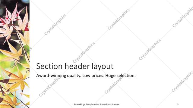 Section Header presentation slide layout
