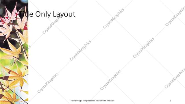 Title Only presentation slide layout