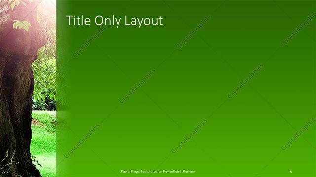 Title Only presentation slide layout