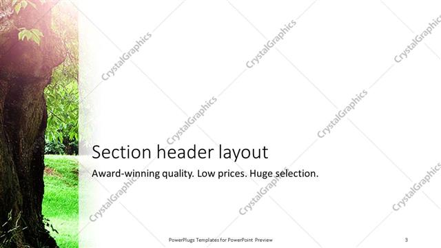 Section Header presentation slide layout