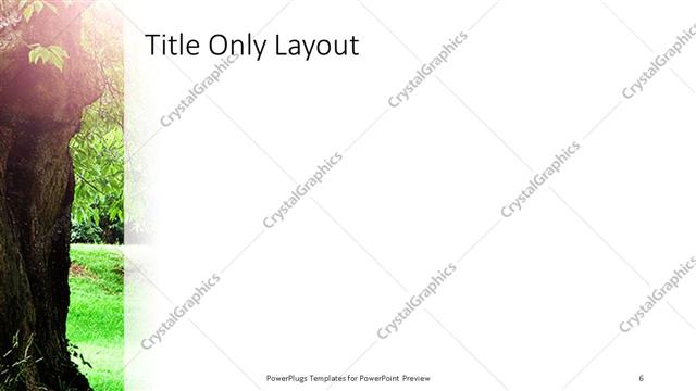 Title Only presentation slide layout