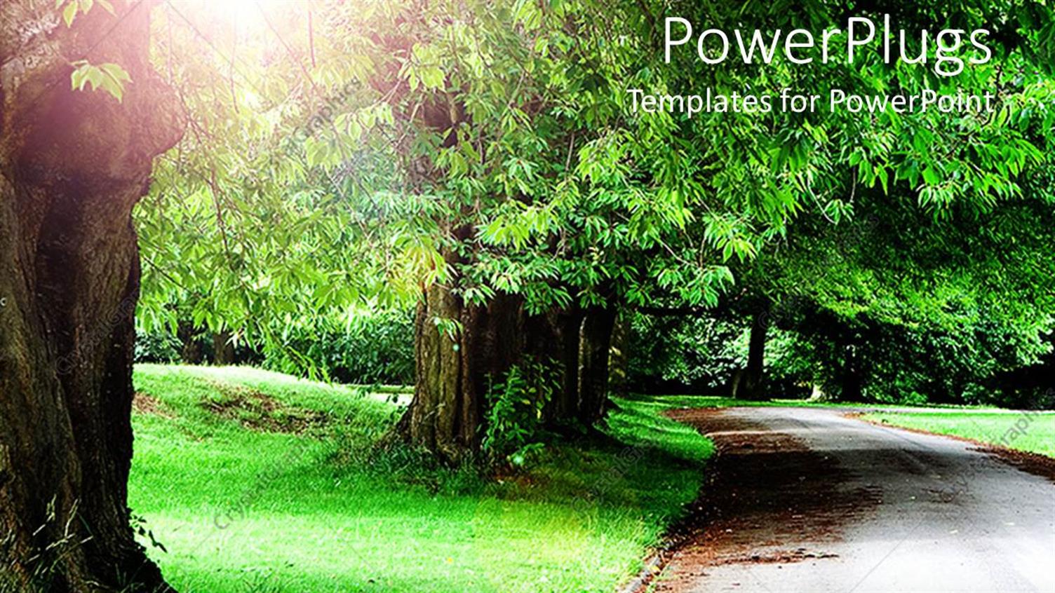 Premium Template for PowerPoint & Google Slides 