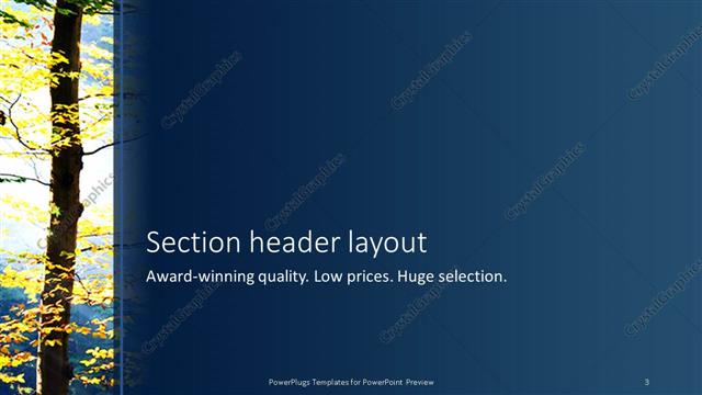 Section Header presentation slide layout