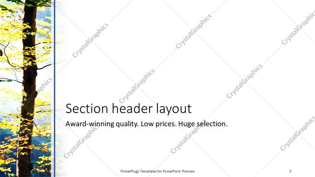 Section Header presentation slide layout