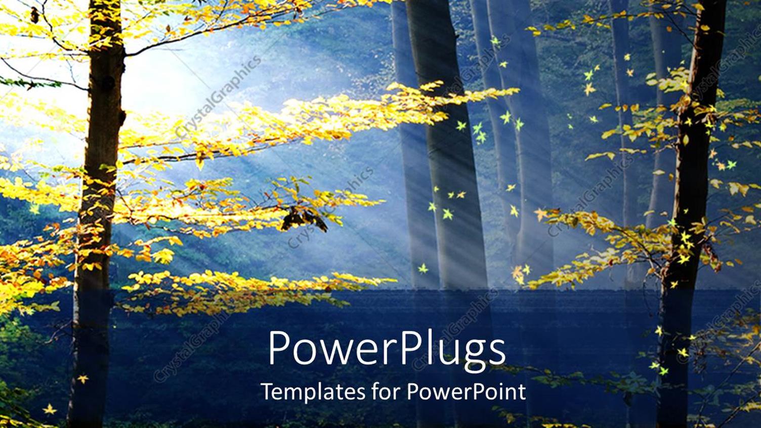 Premium Template for PowerPoint & Google Slides 