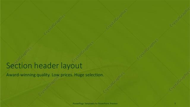 Section Header presentation slide layout