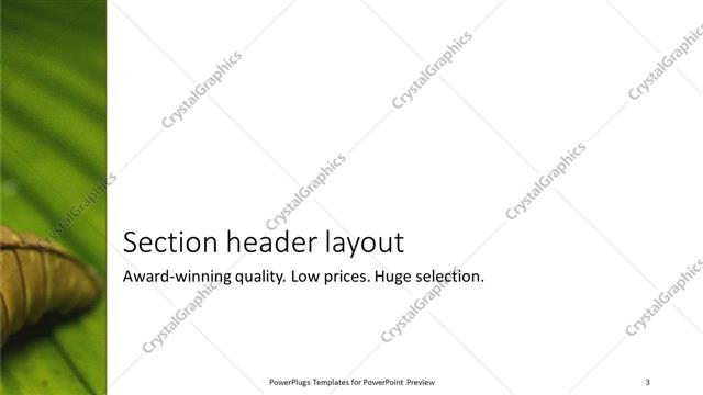 Section Header presentation slide layout