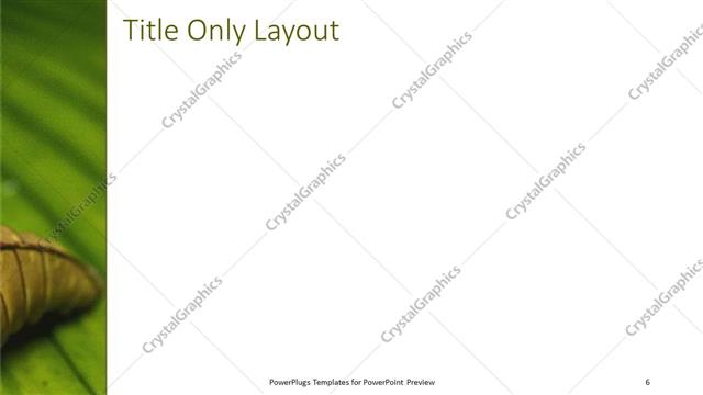 Title Only presentation slide layout