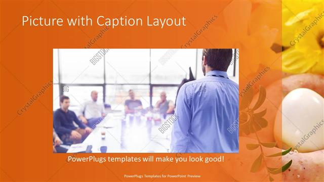 Picture with Caption presentation slide layout