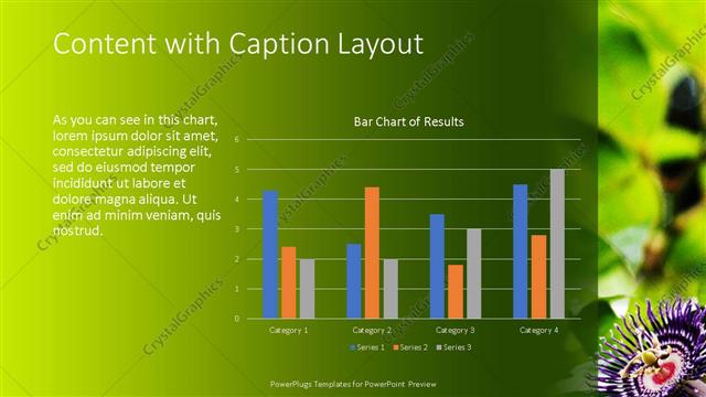 Content with Caption presentation slide layout
