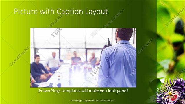 Picture with Caption presentation slide layout