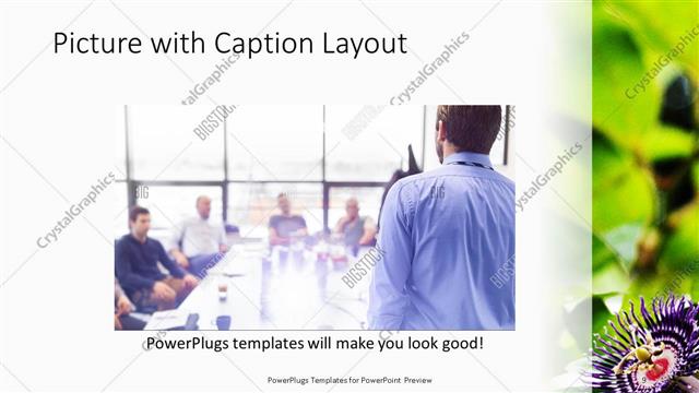 Picture with Caption presentation slide layout
