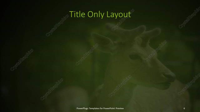 Title Only presentation slide layout