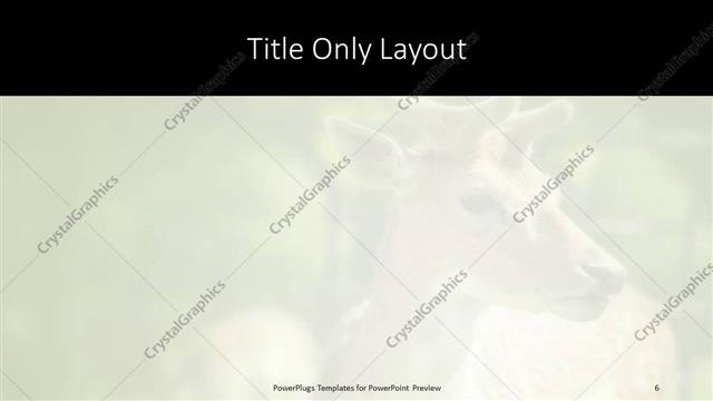 Title Only presentation slide layout