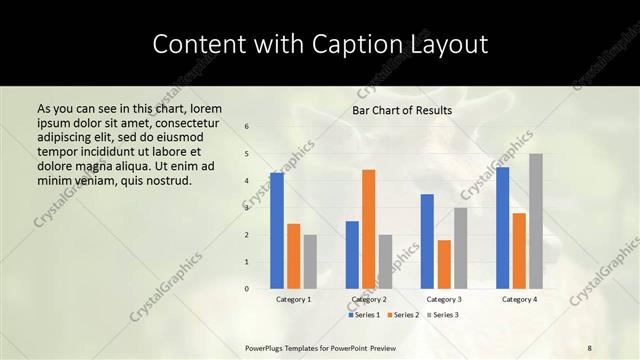 Content with Caption presentation slide layout