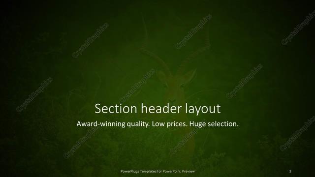 Section Header presentation slide layout
