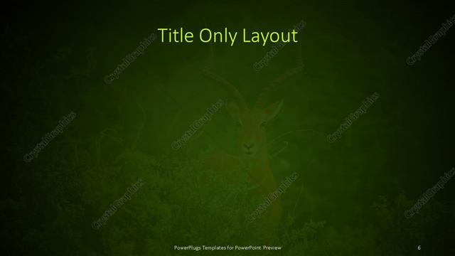 Title Only presentation slide layout