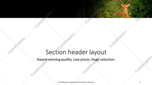 Section Header presentation slide layout
