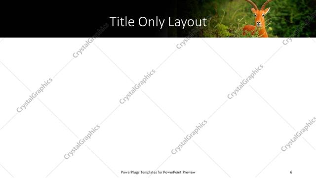 Title Only presentation slide layout