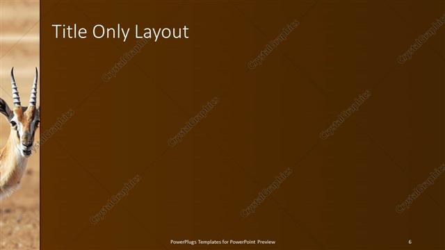 Title Only presentation slide layout