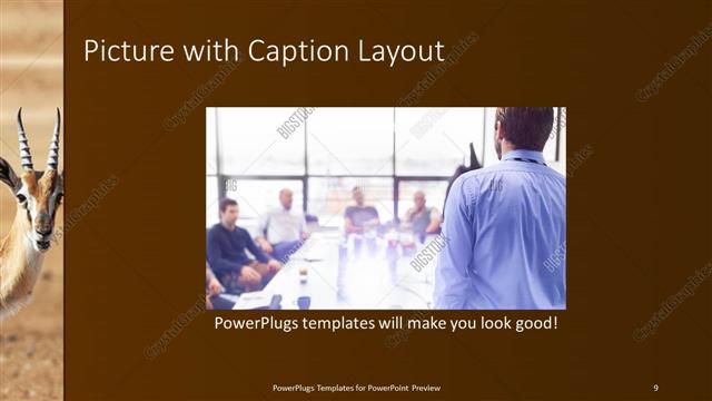 Picture with Caption presentation slide layout