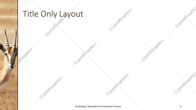 Title Only presentation slide layout