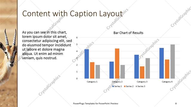 Content with Caption presentation slide layout