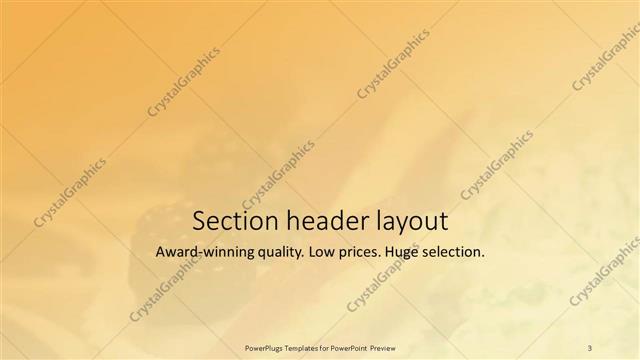 Section Header presentation slide layout