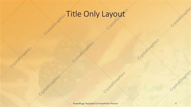 Title Only presentation slide layout