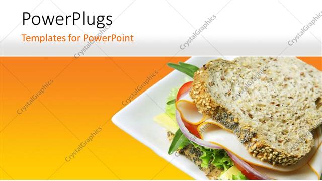  Presentation with sandwich - A delicious meal of a whole wheat bread sandwich