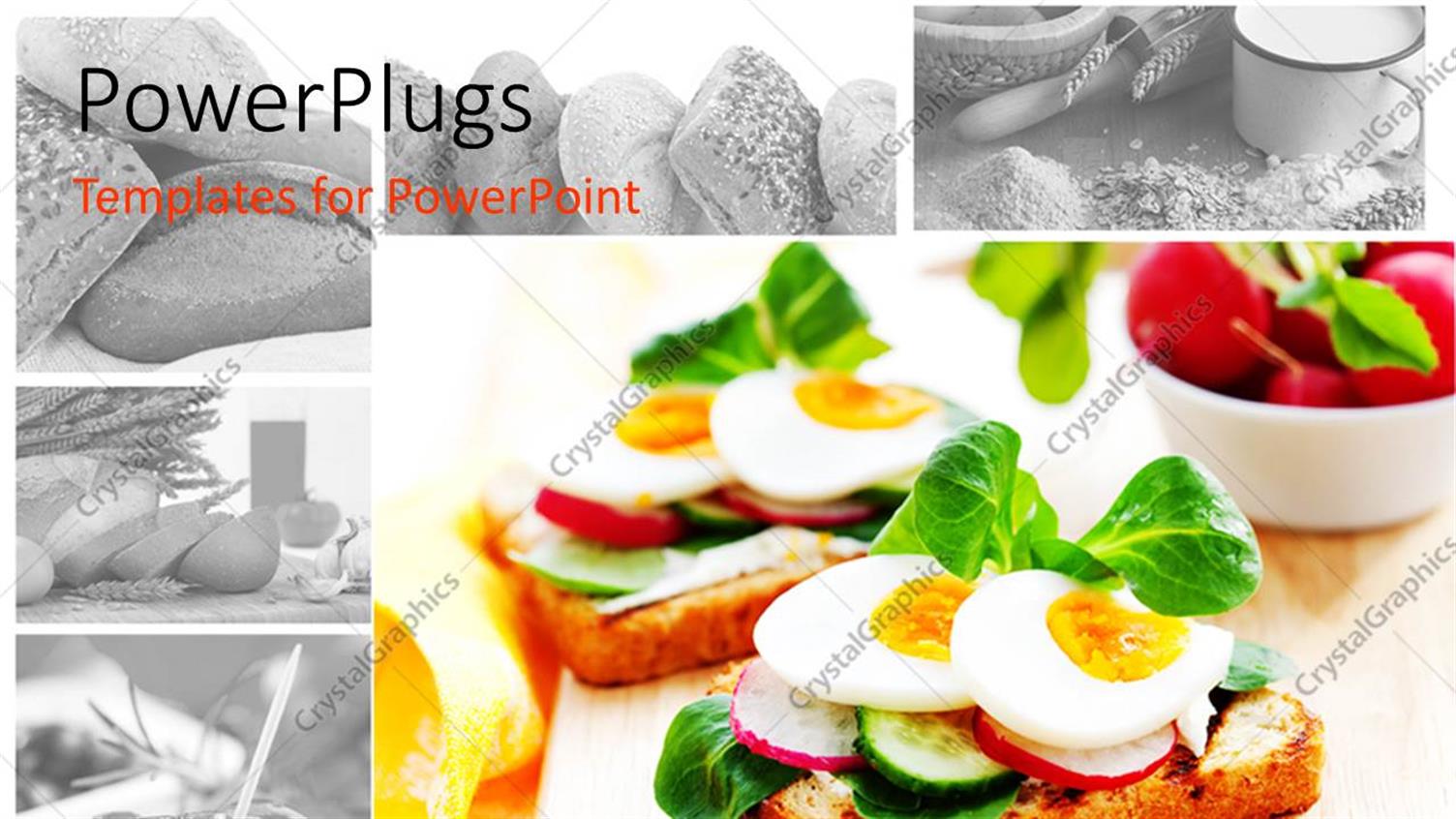 Premium Template for PowerPoint & Google Slides 