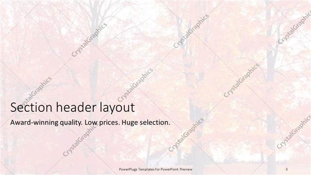 Section Header presentation slide layout
