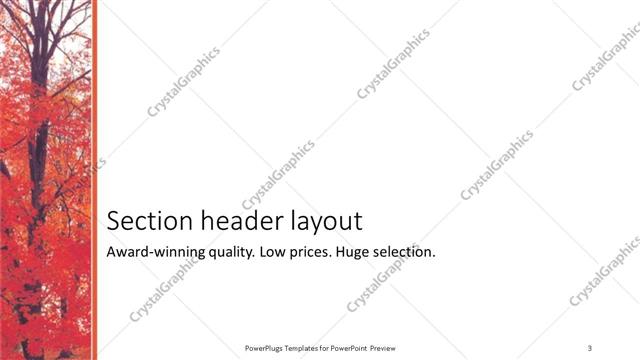 Section Header presentation slide layout