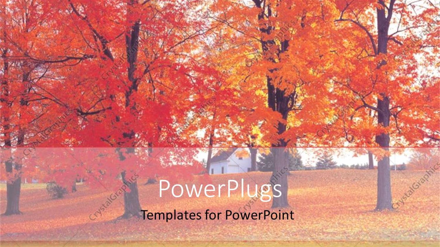 Premium Template for PowerPoint & Google Slides 